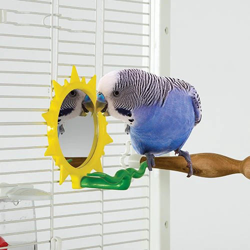 Caitec - Sunburst Mirror for Birds - Southern Agriculture