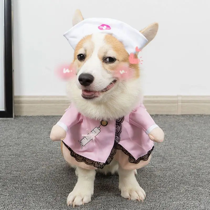 PawPaw Wholesale - Halloween Costume Nurse