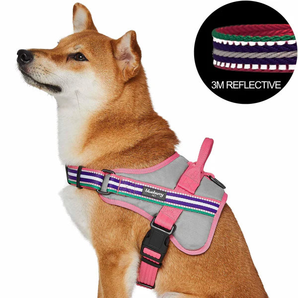 Blueberry Pet - Pink, Emerald and Orchid | Service K-9, 3M Reflective Dog Harness - Southern Agriculture