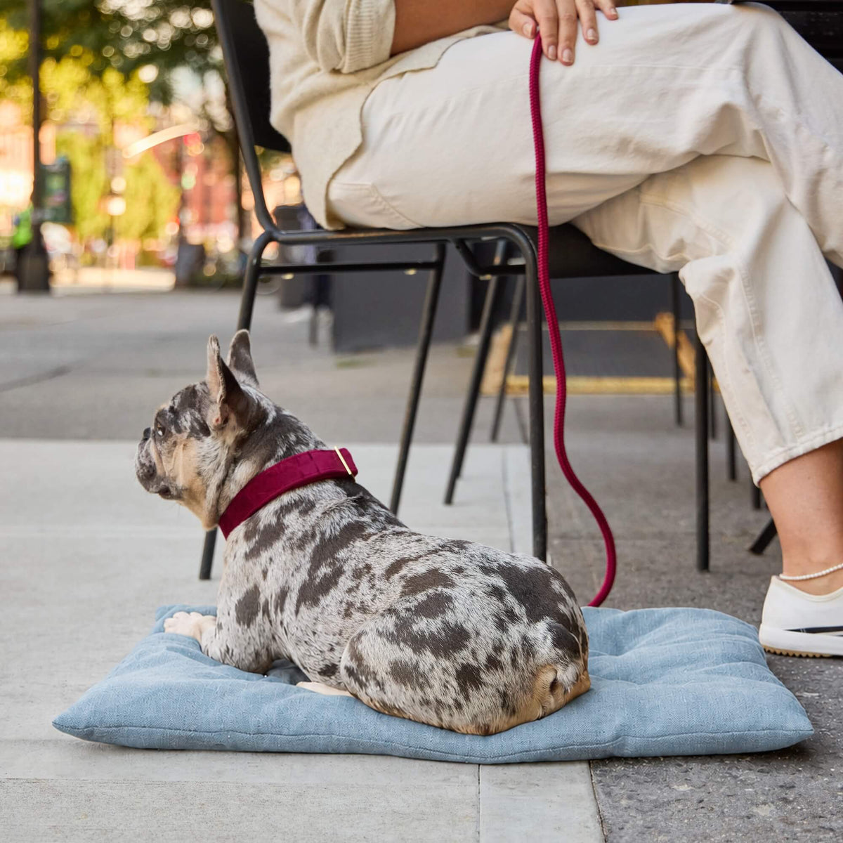 Foggy Dog - Dog Travel Mat
