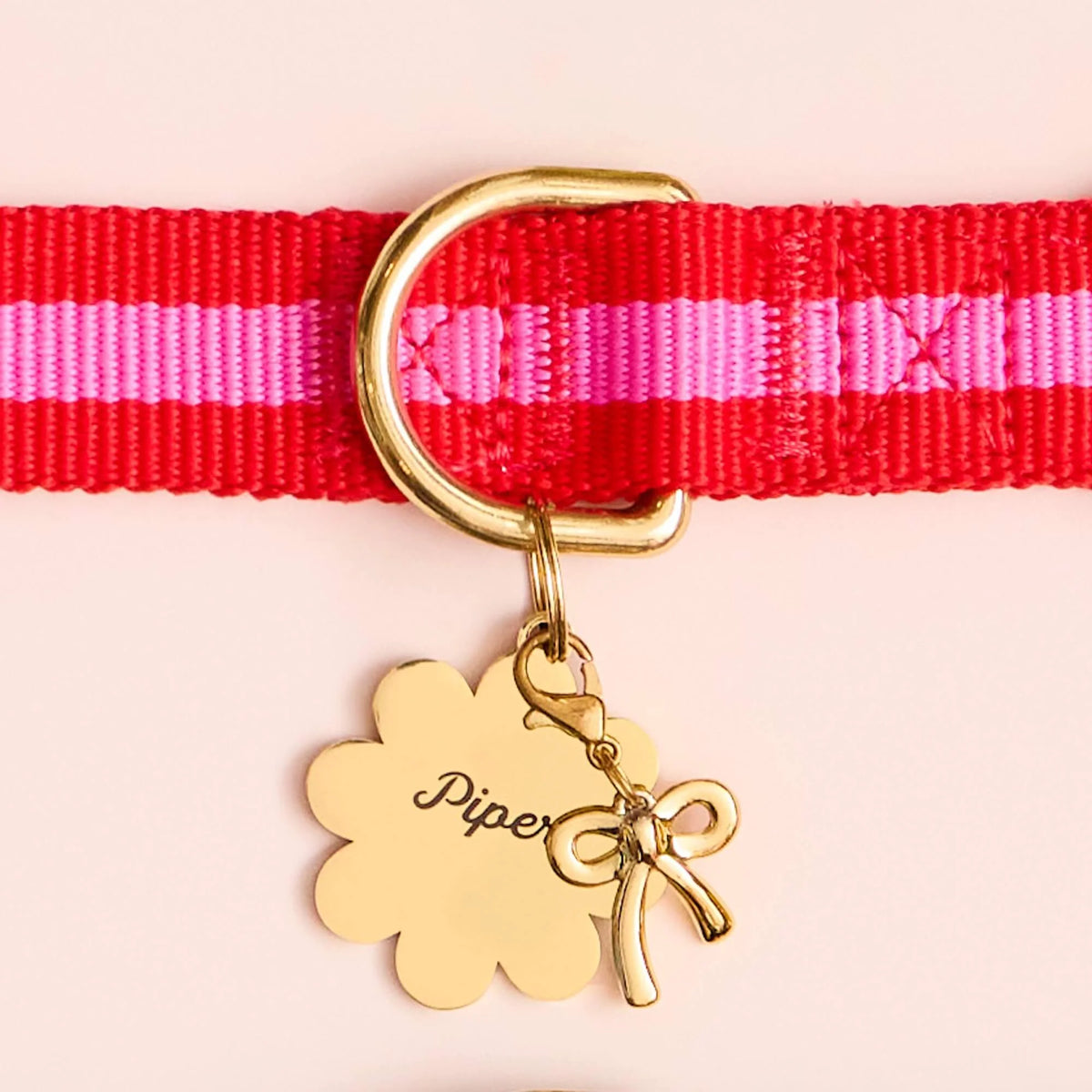 The Foggy Dog - Dog Collar Charlotte Stripped