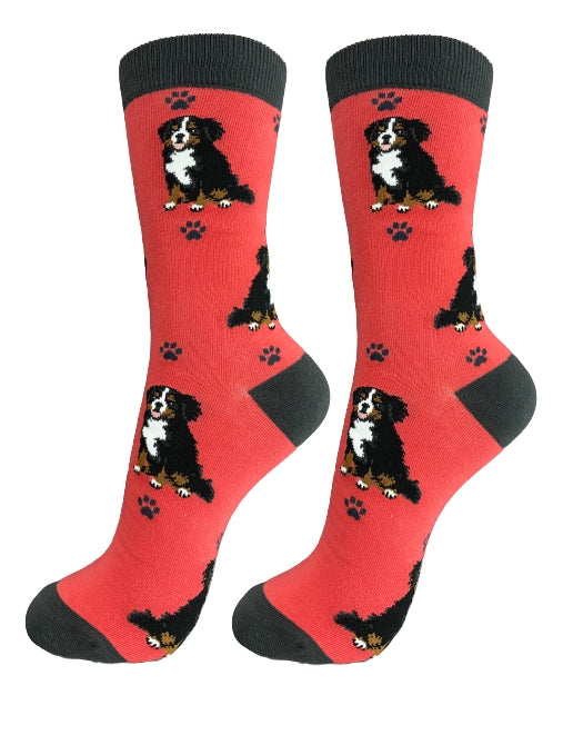 E & S Imports - Socks Bernese Mountain Dog Full Body