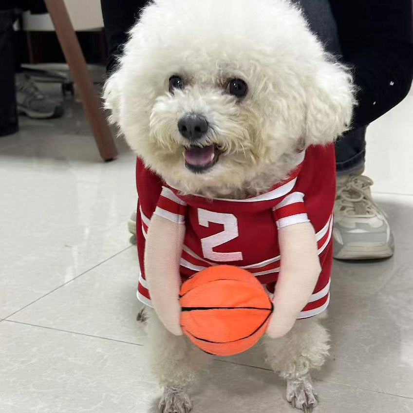 PawPaw Wholesale - Halloween Costume Basketball Player
