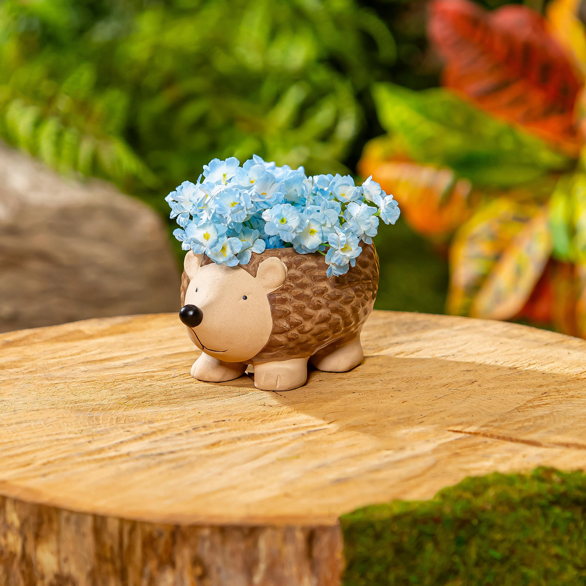 Evergreen Enterprises - Planter Hedgehog