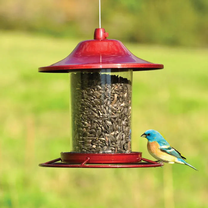 Perky Pet - Panorama Seed Feeder Sure-Lock Cap