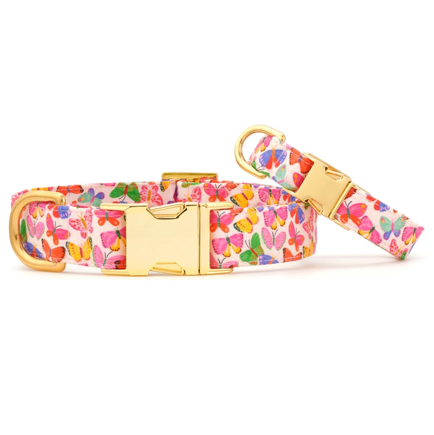 The Foggy Dog - Dog Collar Bright Butterflies