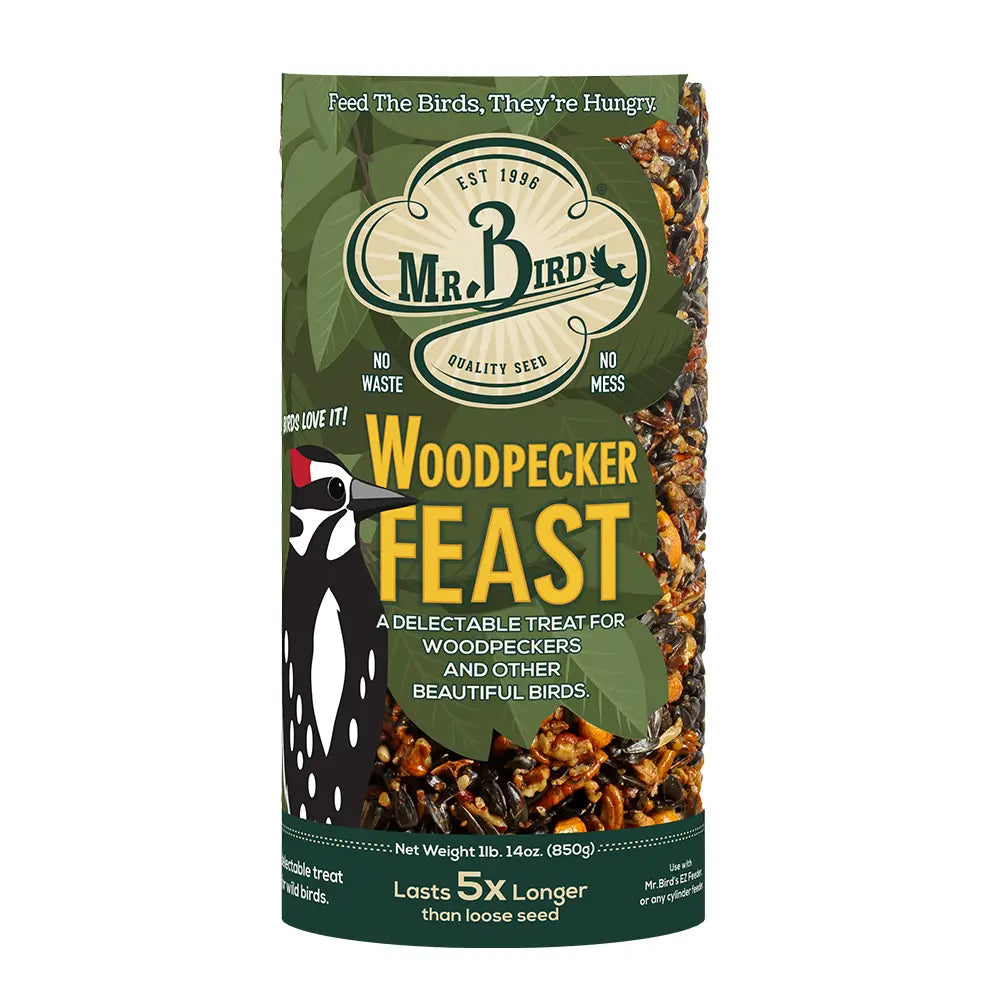 Mr. Bird - Cylinder Woodpecker Feast