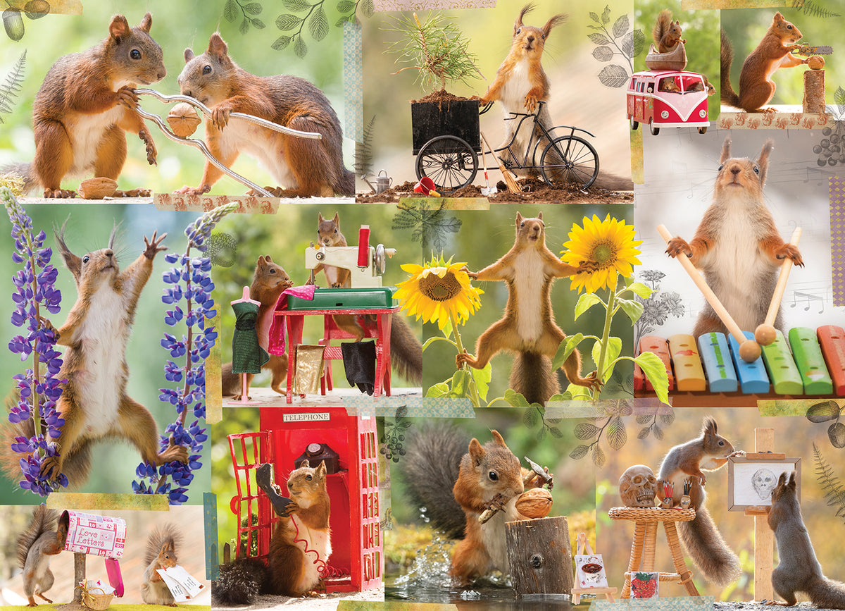 Willow Creek Press - Puzzle Gettin' Squirrelly - 1000 pieces