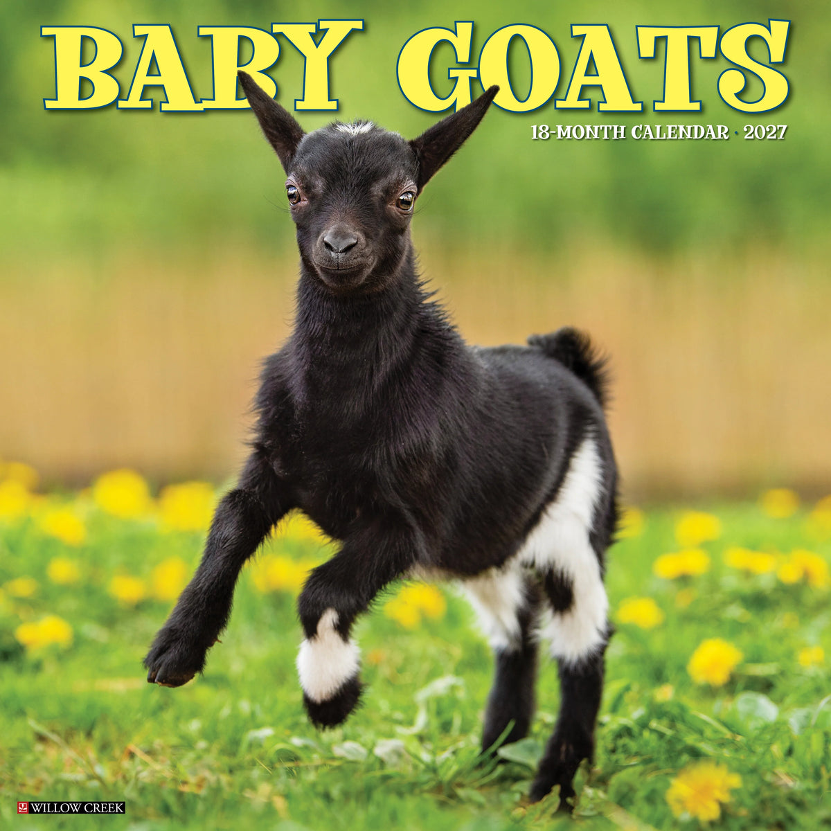 Willow Creek Press - 2027 Baby Goats Calendar