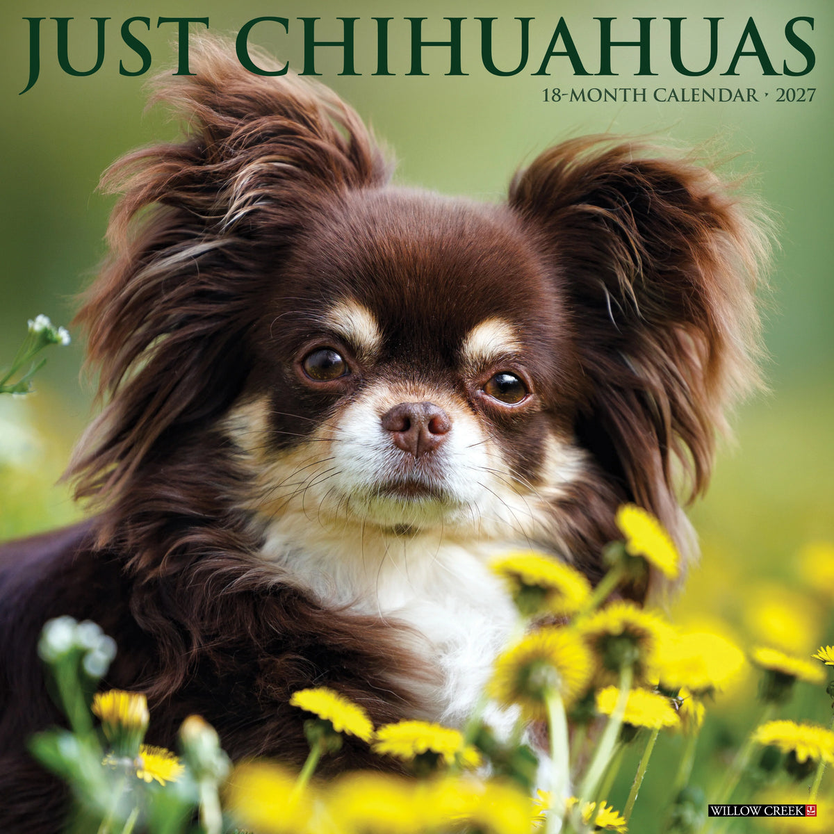Willow Creek Press - 2027 Chihuahuas Calendar