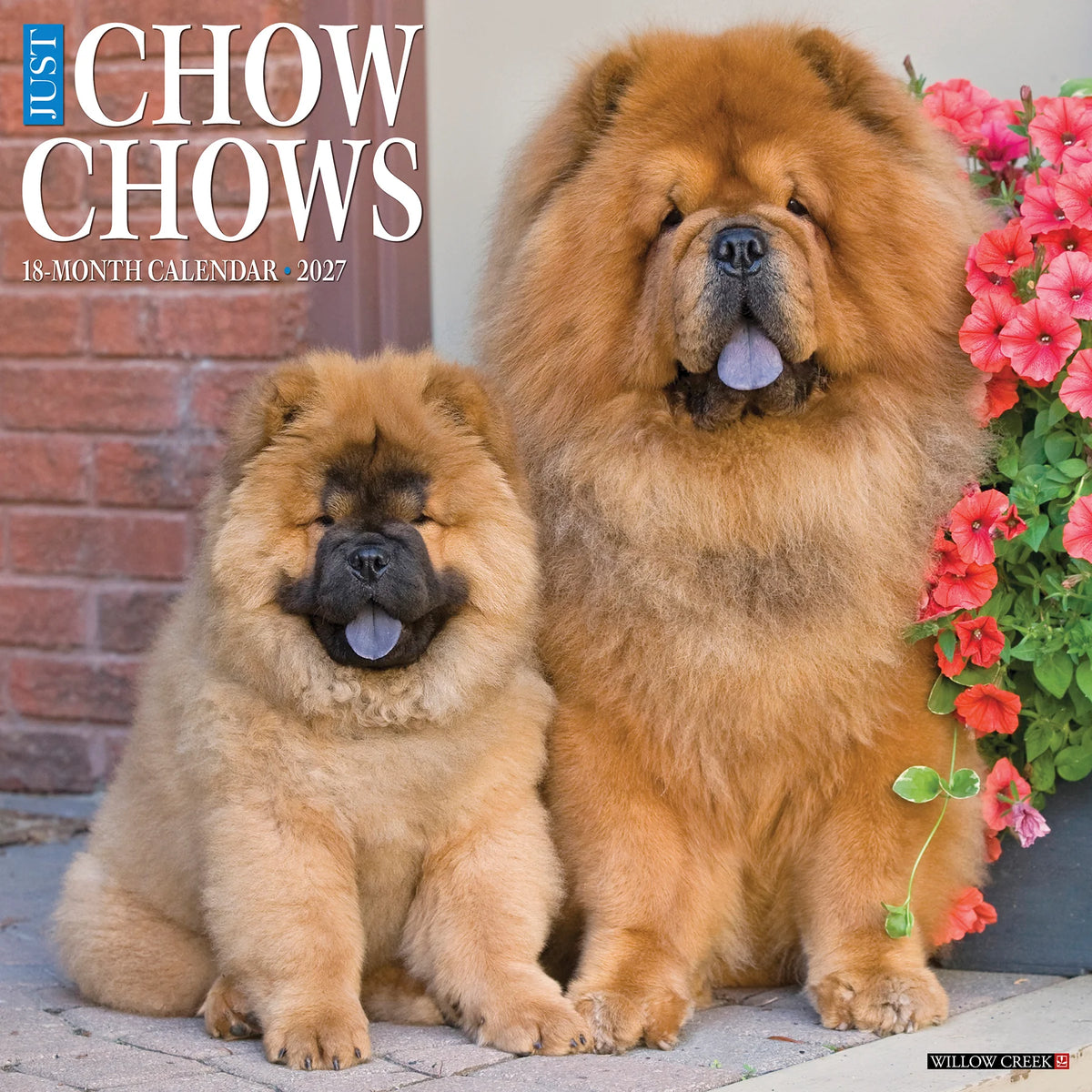 Willow Creek Press - 2027 Chow Chows Calendar