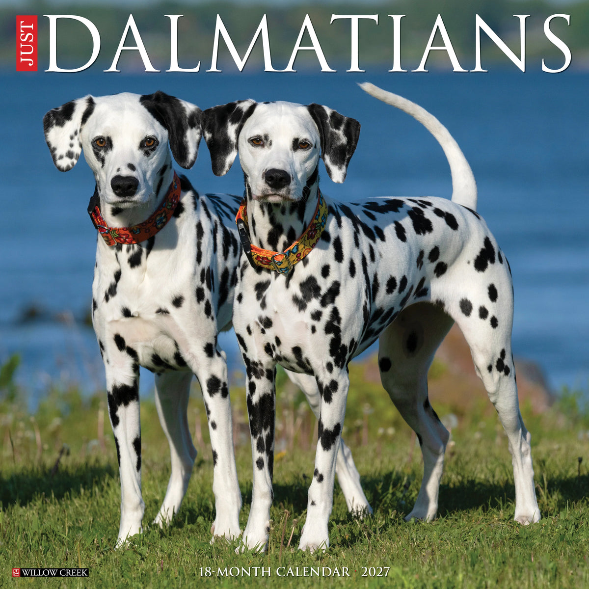 Willow Creek Press - 2027 Dalmatians Calendar