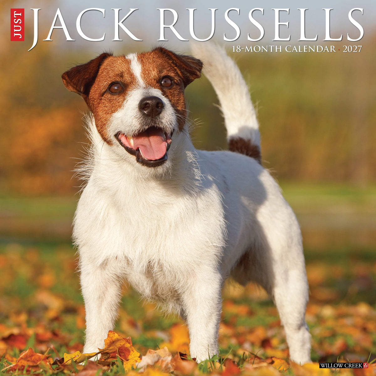 Willow Creek Press - 2027 Jack Russells Calendar