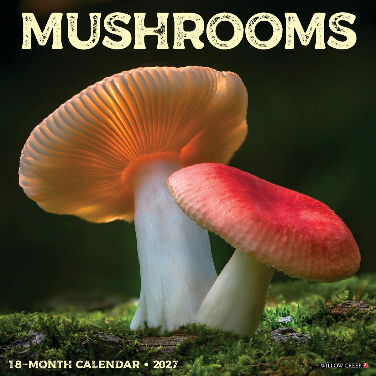 Willow Creek Press - 2027 Mushrooms Calendar