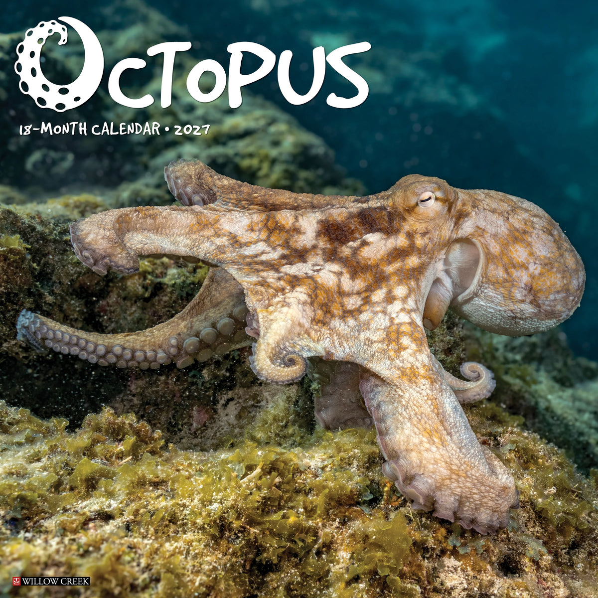 Willow Creek Press - 2027 Octopus Calendar