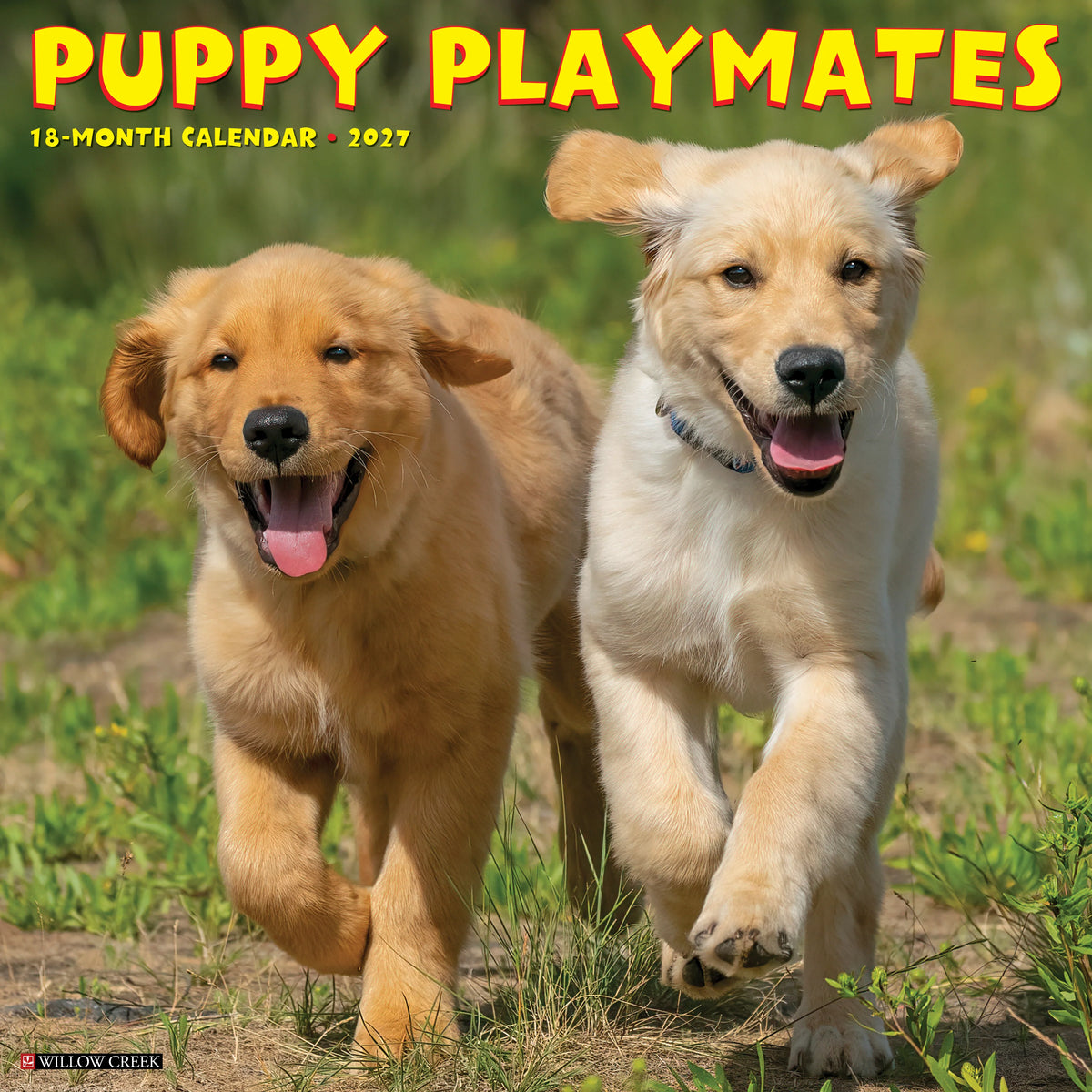 Willow Creek Press - 2027 Puppy Playmates Calendar