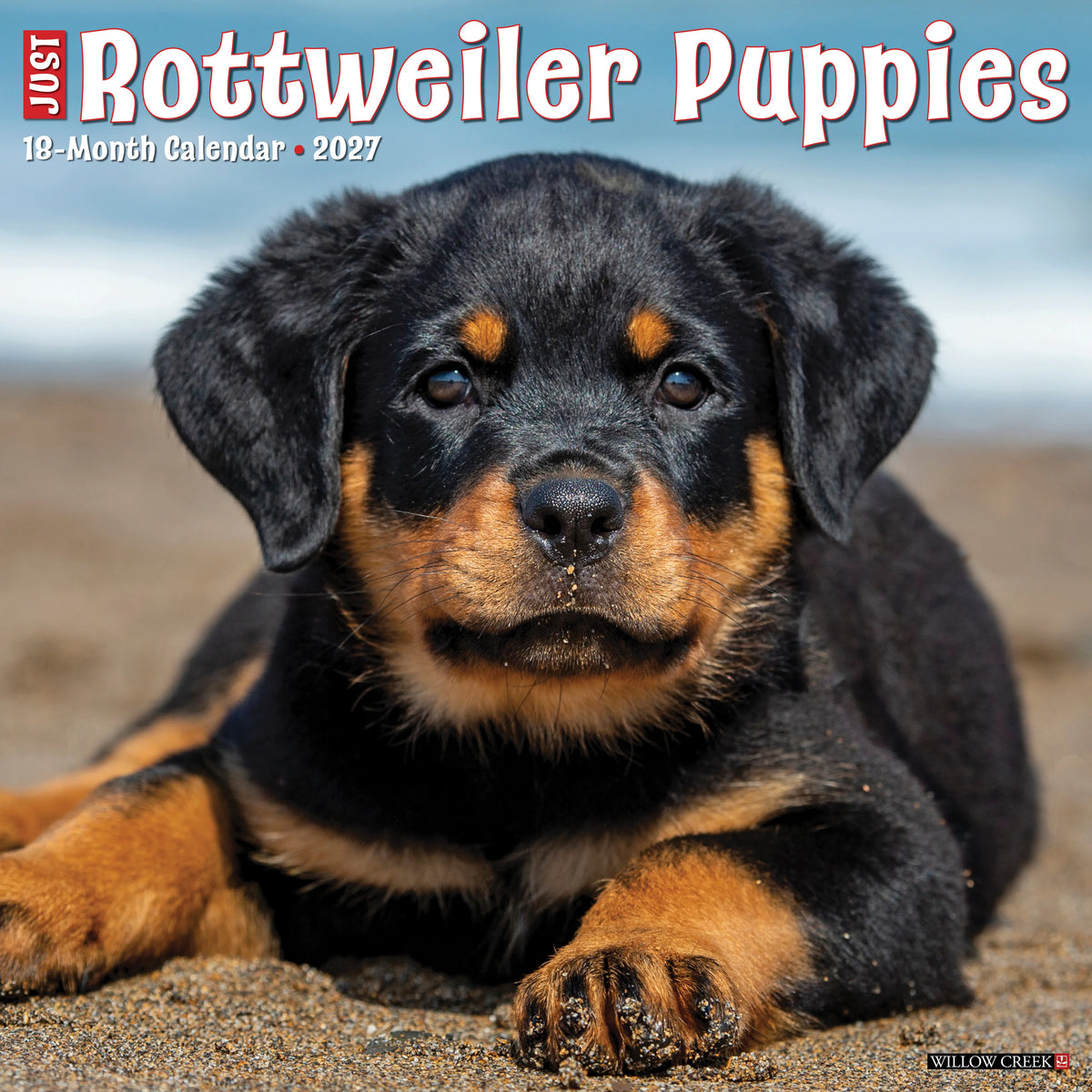Willow Creek Press - 2027 Rottweiler Puppies Calendar