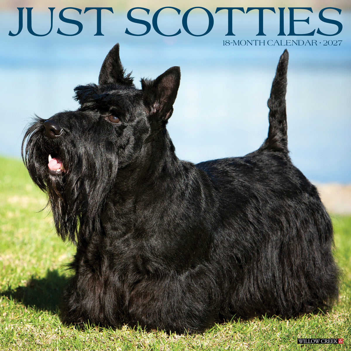 Willow Creek Press - 2027 Scotties Calendar