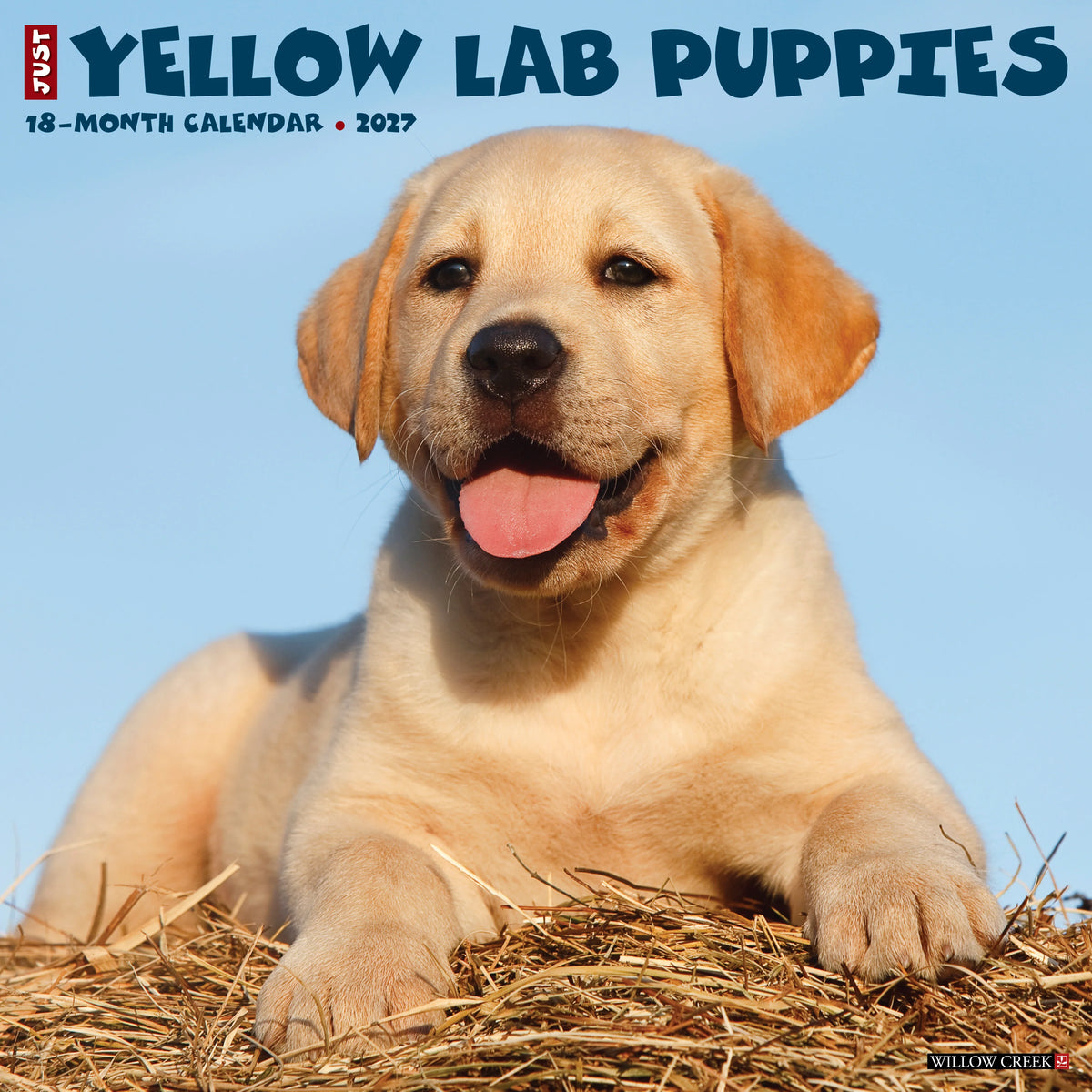 Willow Creek Press - 2027 Yellow Lab Puppies Calendar