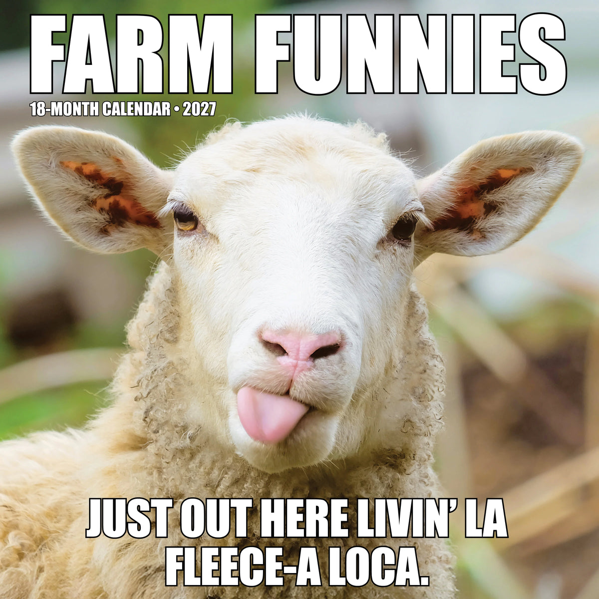 Willow Creek Press - 2027 Farm Funnies Calendar
