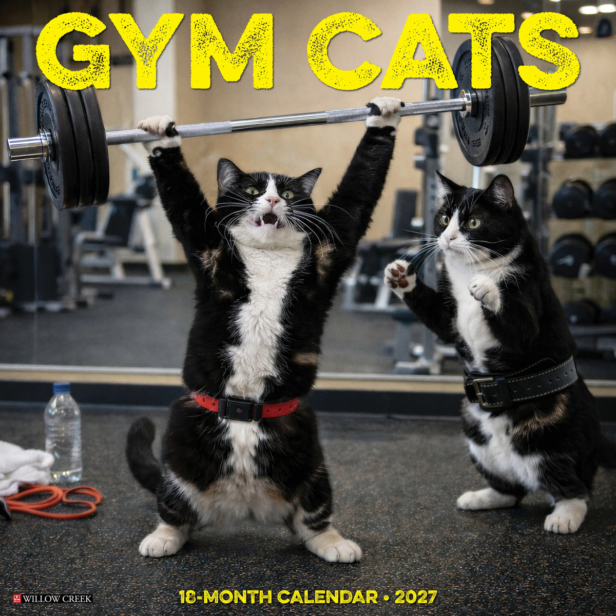 Willow Creek Press - 2027 Gym Cats Calendar