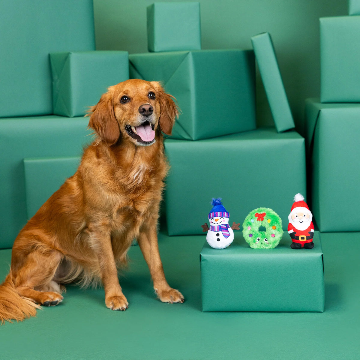 Petshop by Fringe Studio - Dog Toy 3 Pc Set We have Great Chemis-Tree