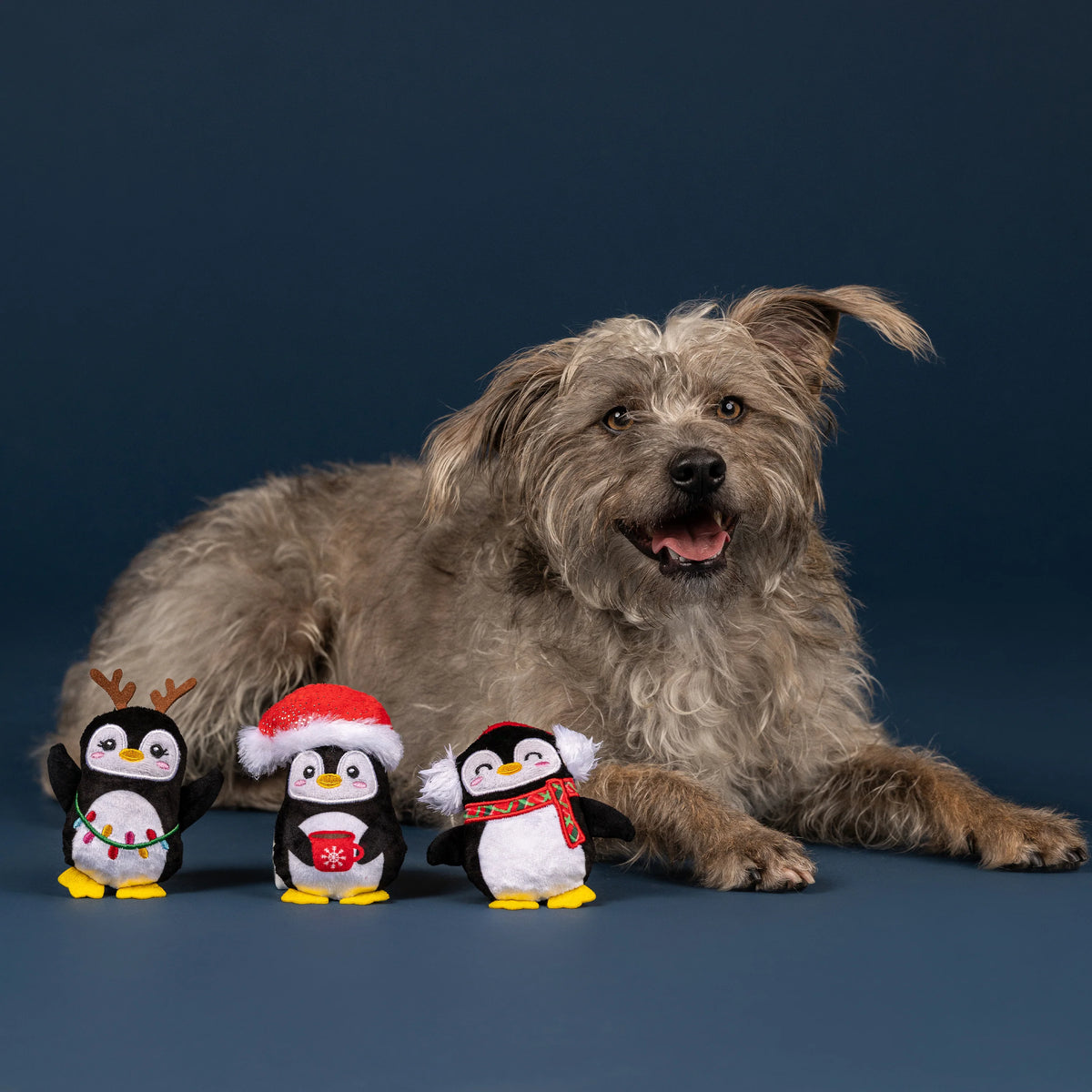Petshop by Fringe Studio - Dog Toy 3 Pc Set Waddle Squad