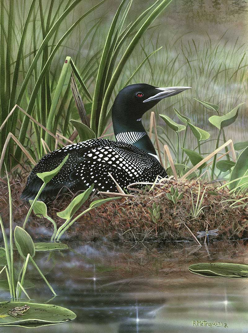Willow Creek Press - Puzzle Symbol of the North - 1000 piece