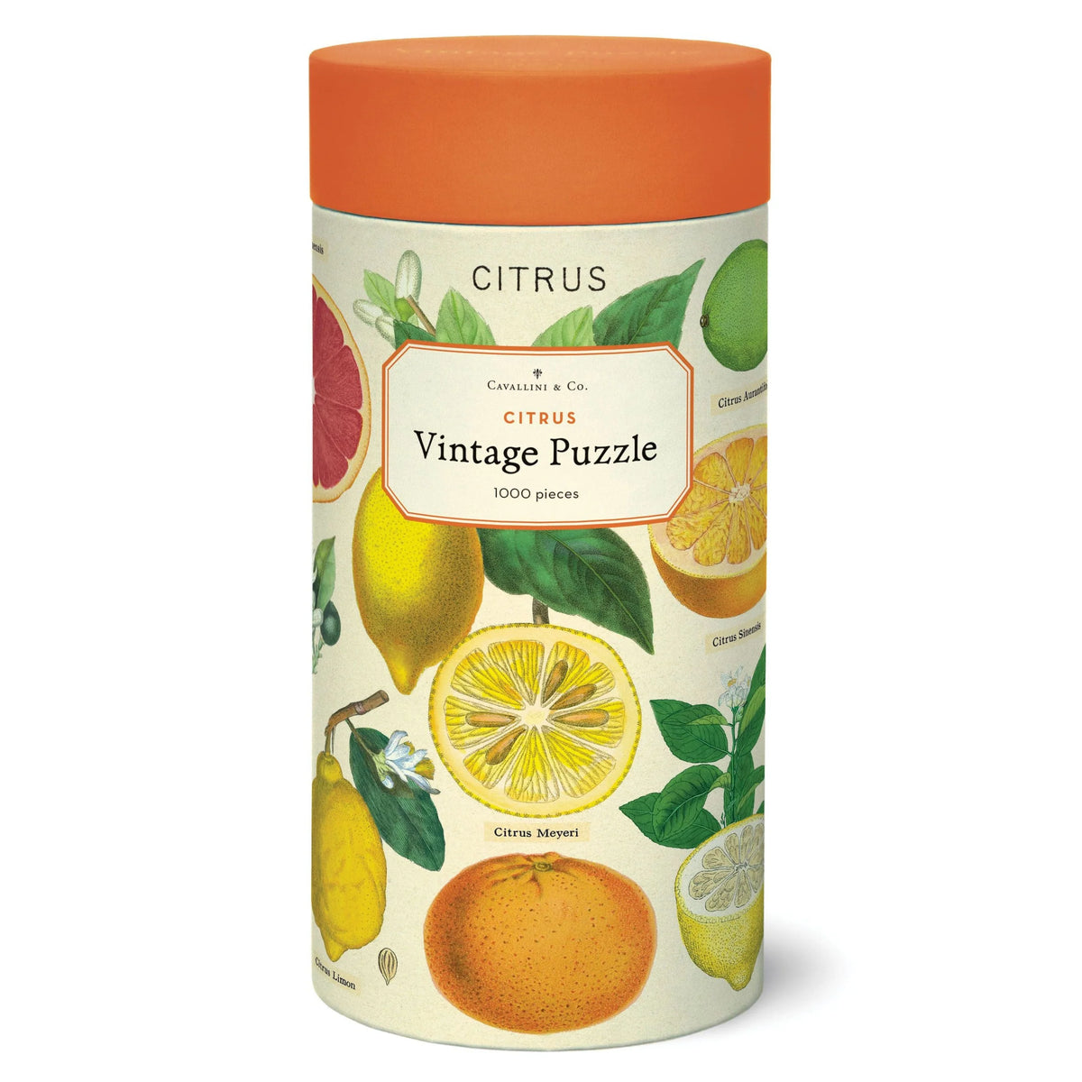 Cavallini Papers & Co - Puzzle Citrus