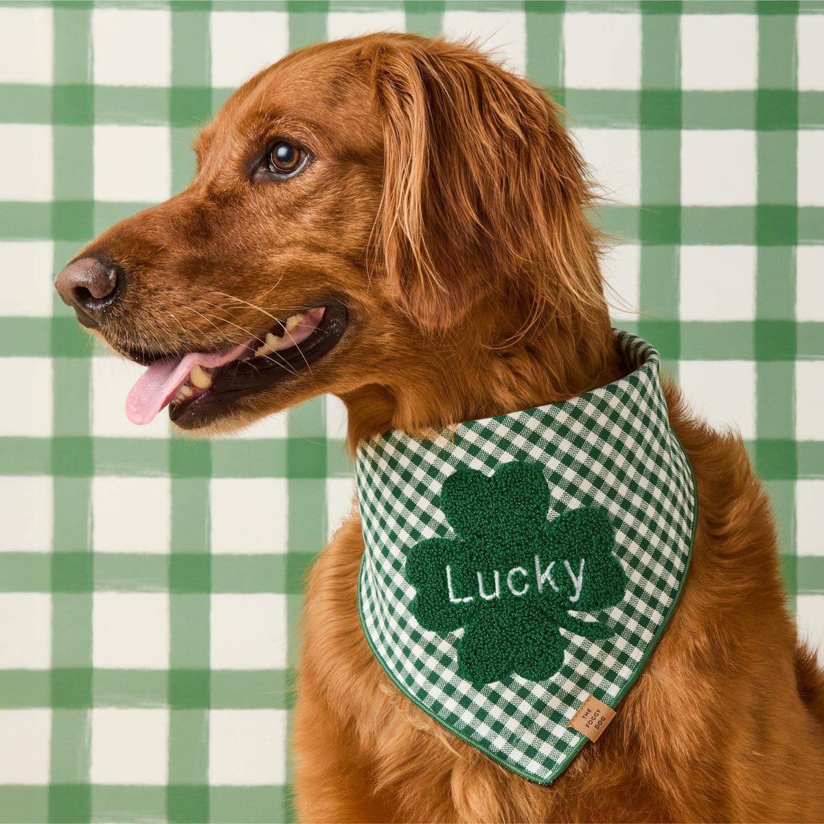 Foggy Dog - Dog Bandana Clover Applique