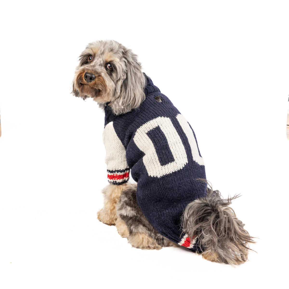 Chilly Dog - Dog Sweater Varsity