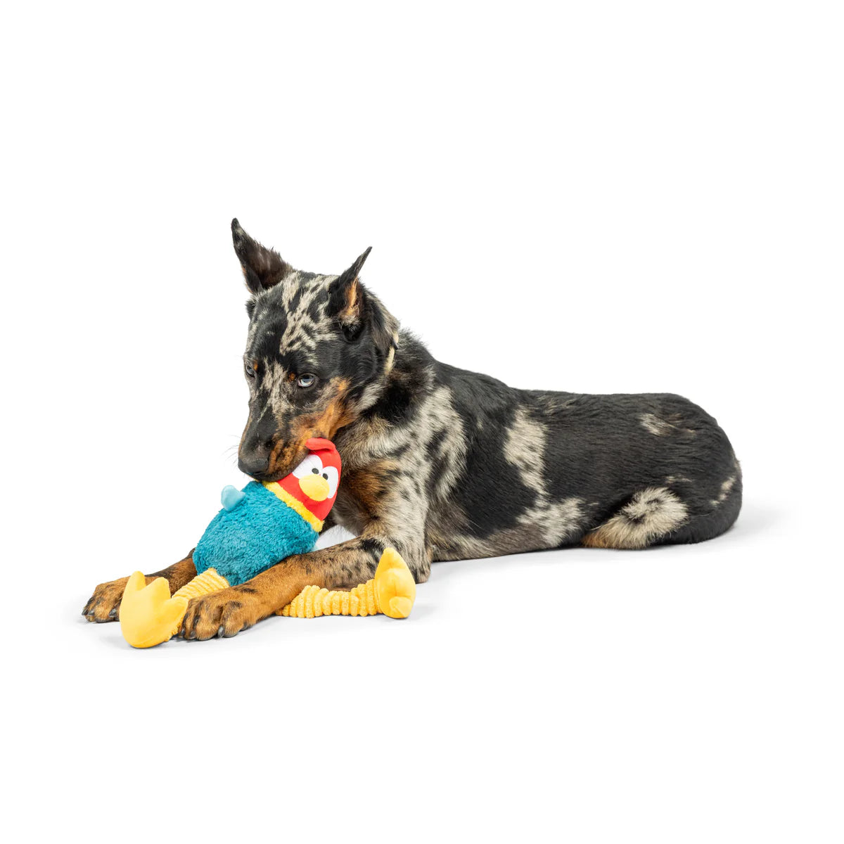 Huxley & Kent - Dog Toy Lankies Red Rooster