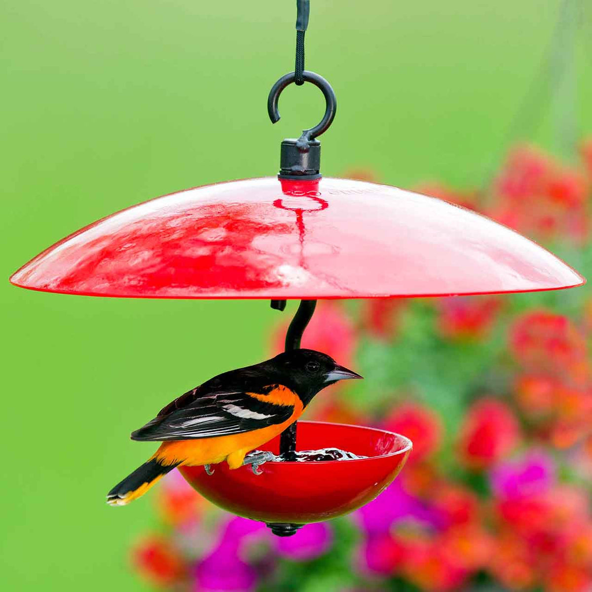 Couronne Co - Mosiac Birds Petite Glass Baffle Dome
