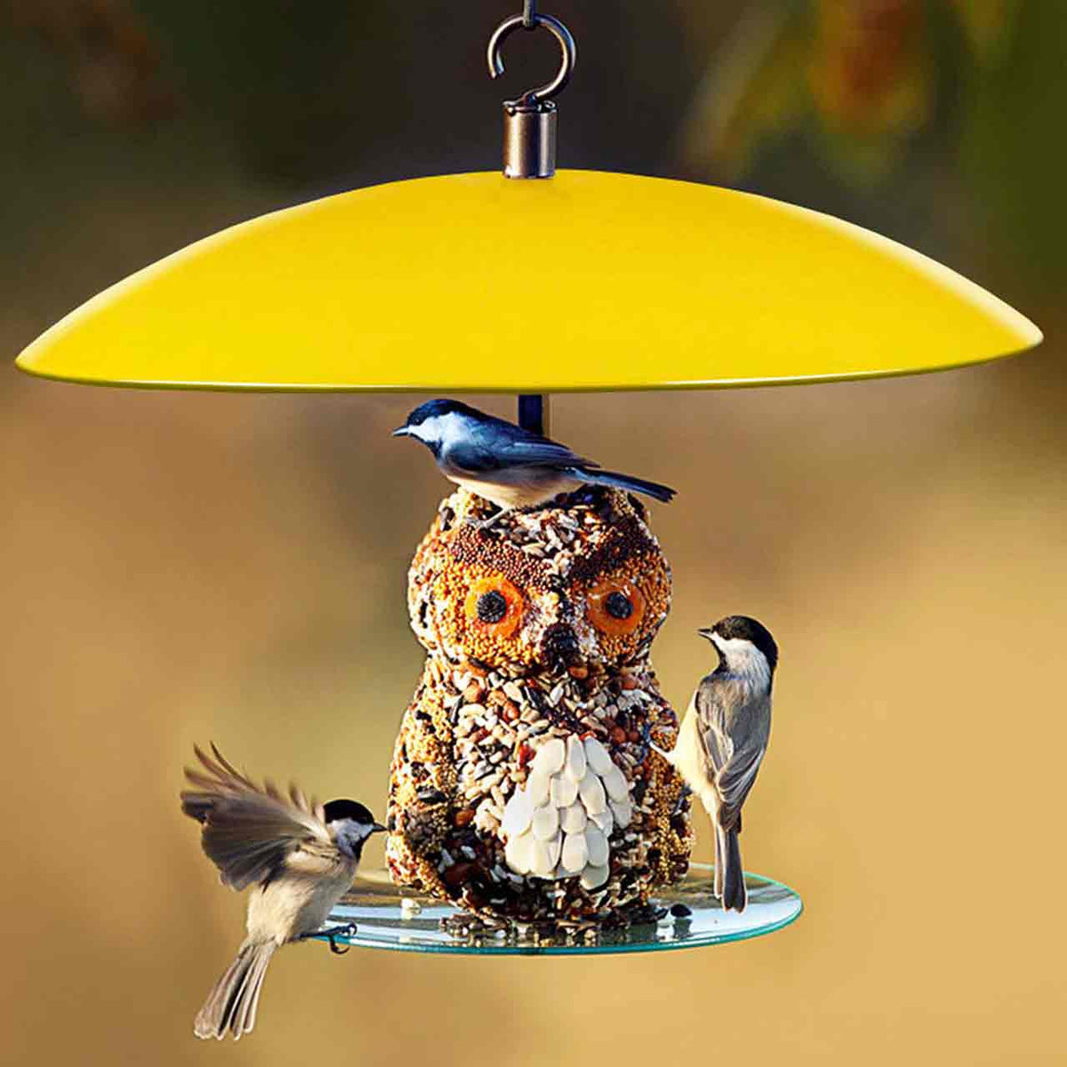 Couronne Co - Bird Feeder Mosiac Birds 360 Degree Seed Cylinder