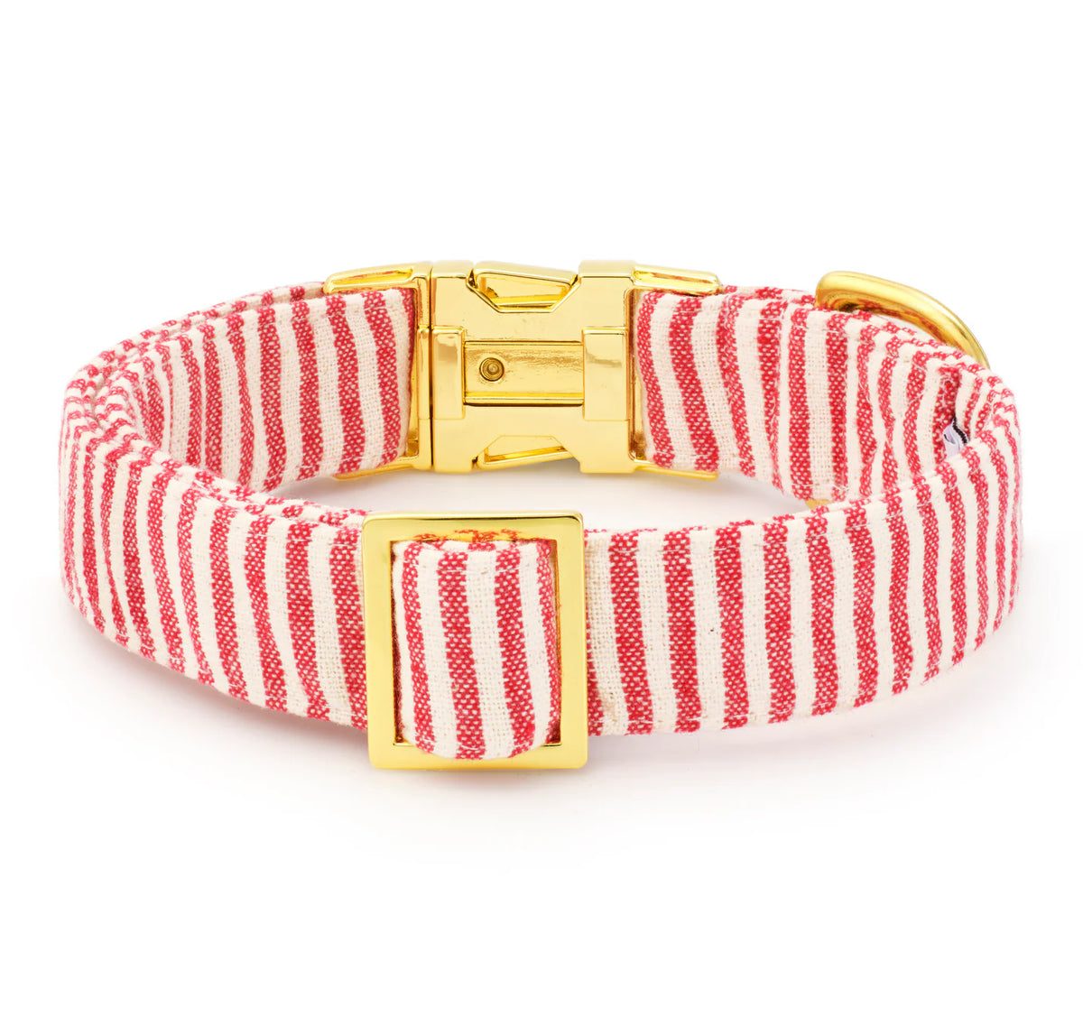 The Foggy Dog - Dog Collar Red Stripe