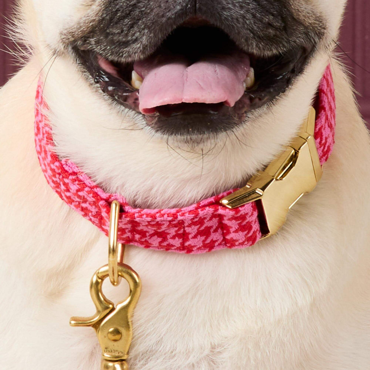 The Foggy Dog - Dog Collar Red & Pink Houndstooth