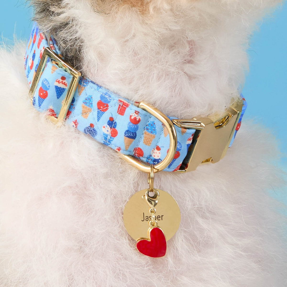 The Foggy Dog - Dog Collar Star Spangled Scoop