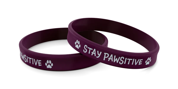 Wild Meadow Farms Wrist Band Stay Pawsitive -Dog Paws Silicone