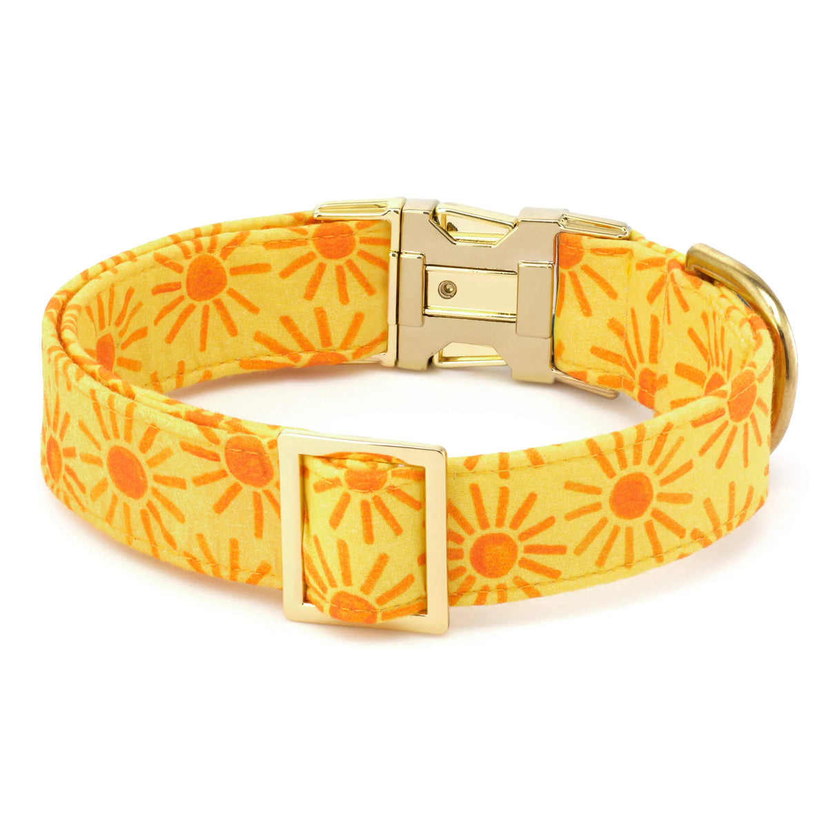 The Foggy Dog - Dog Collar Here Comes the Sun - Southern Agriculture