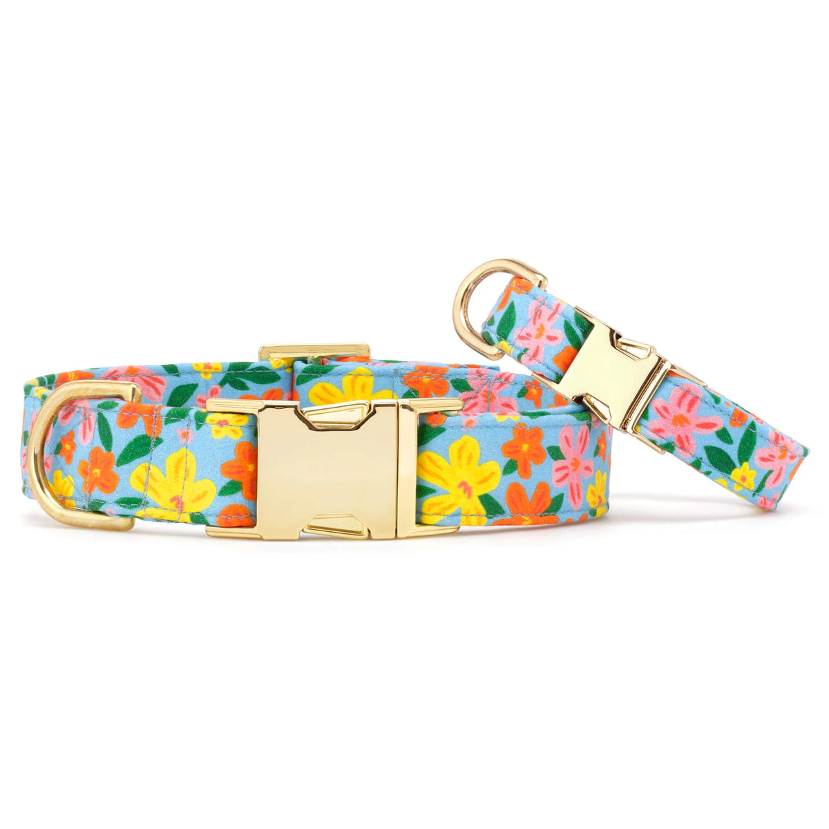 The Foggy Dog - Dog Collar Island Time