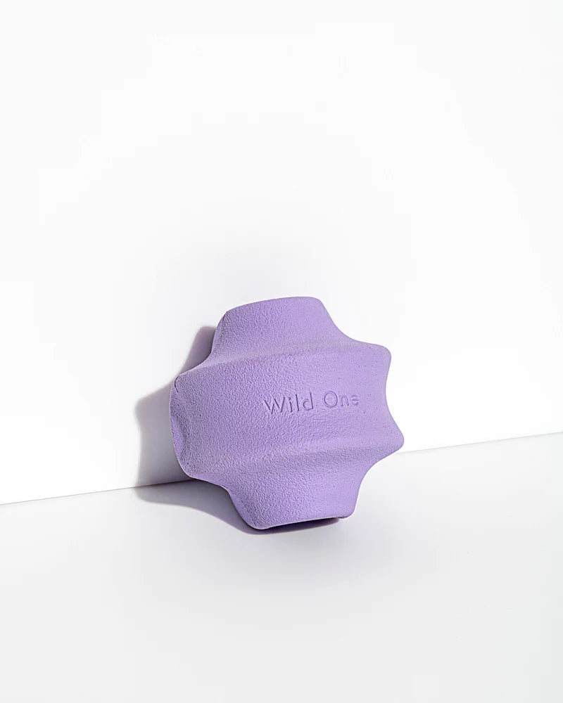 Wild One - Twist Toss Treat Dispensing Dog Toy Standard Size - Southern Agriculture