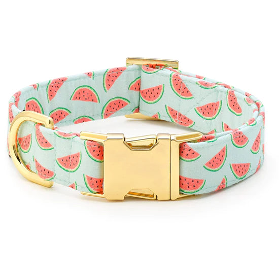 The Foggy Dog - Dog Collar One In A Melon