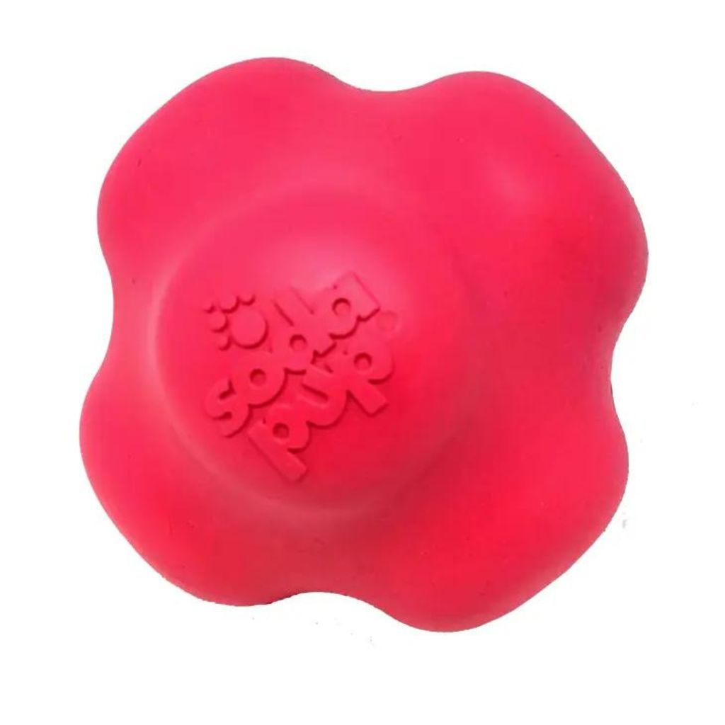 SodaPup - Crazy Bounce, Retrieving, and Chew Dog Toy