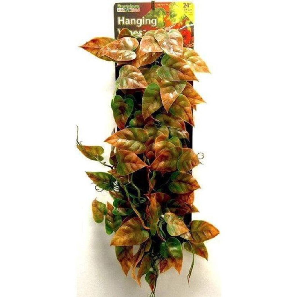 Penn-Plax - Reptile Vine Green and Brown