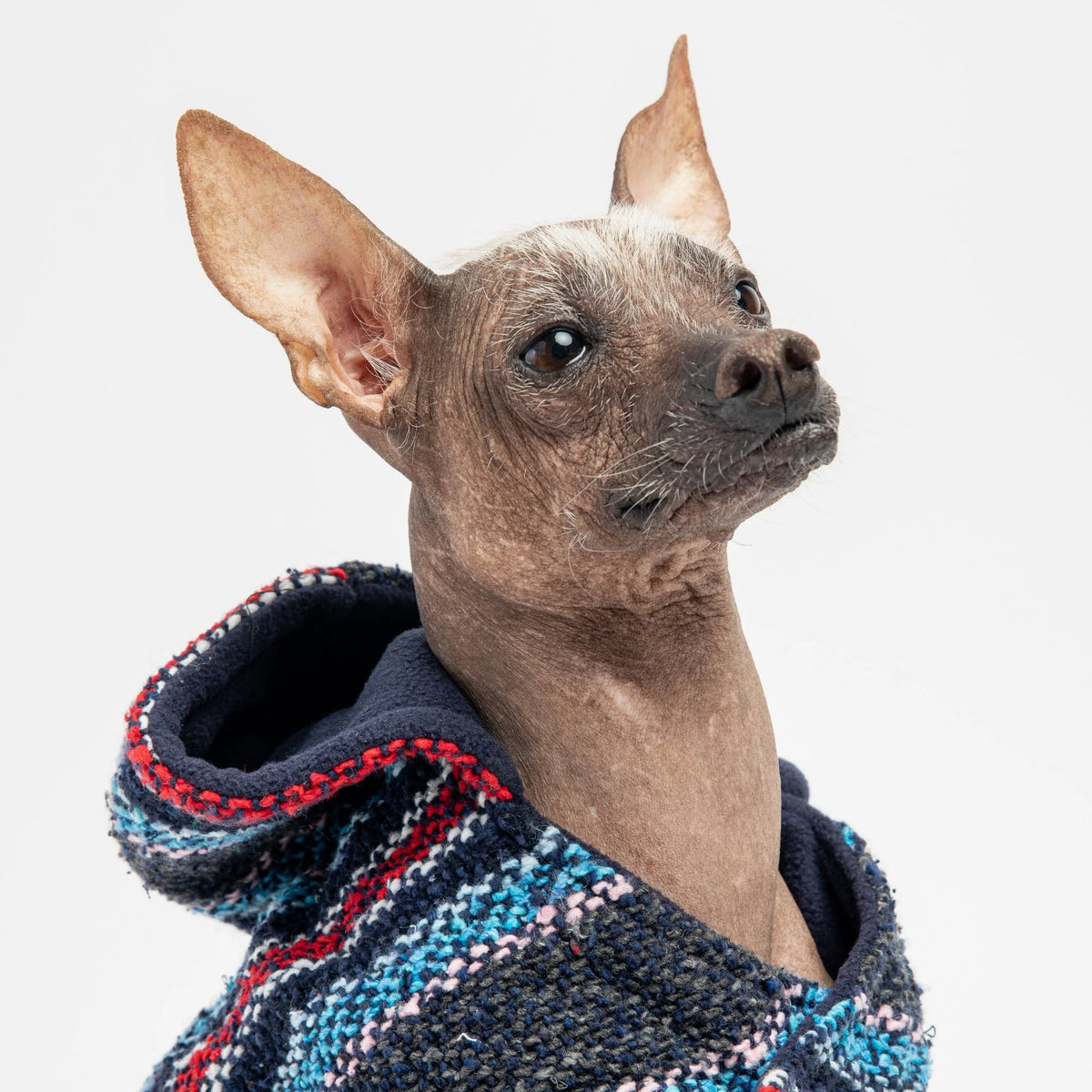 Silver Paw - Baja Dog Poncho - Navy