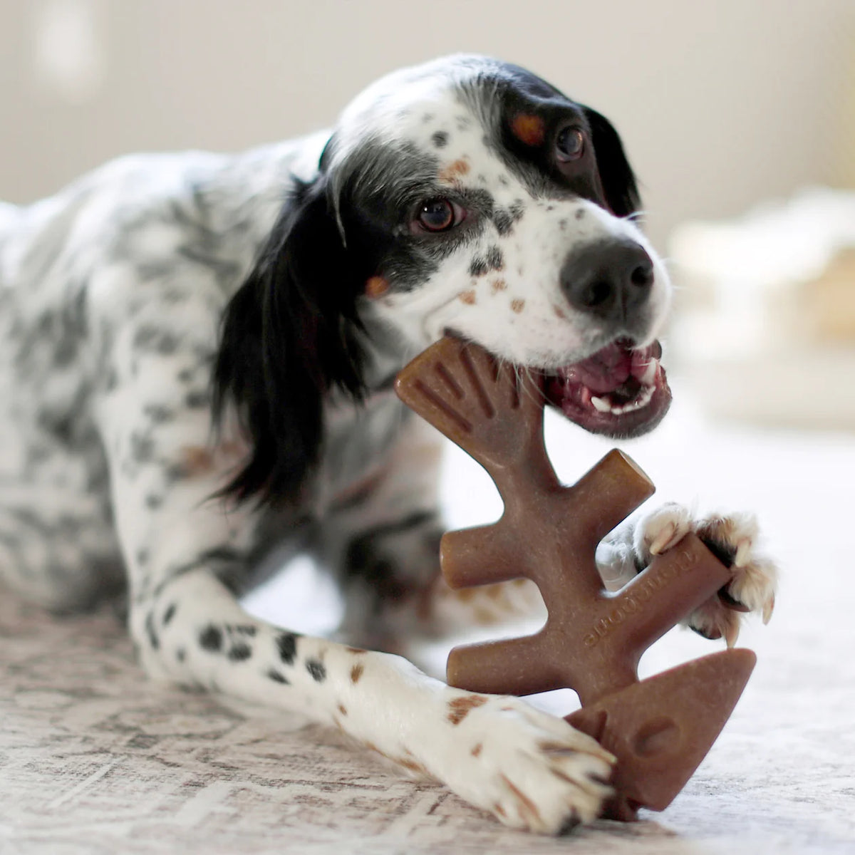 Benebone - Fishbone Dog Chew - Southern Agriculture