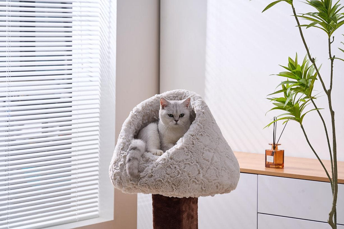 PetPals - Cat Bed Rose Cradle Plush