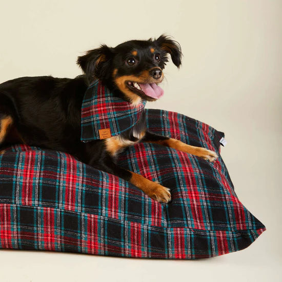 The Foggy Dog - Dog Bed Georgia Plaid Holiday - Southern Agriculture