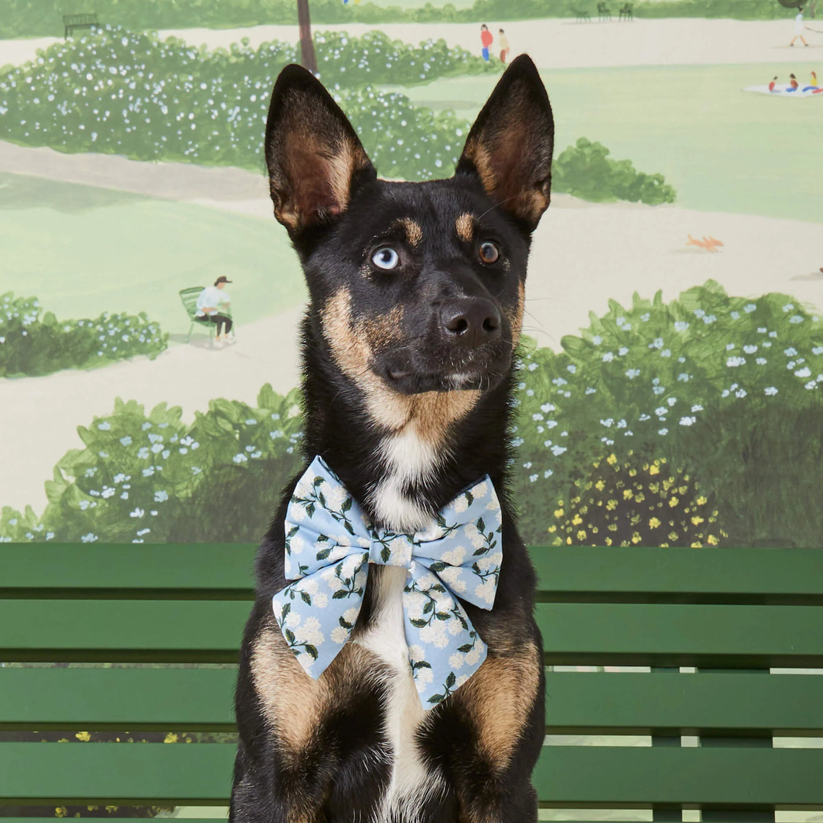 The Foggy Dog - Lady Dog Bow Rifle Paper Co. X TFD Hydrangea