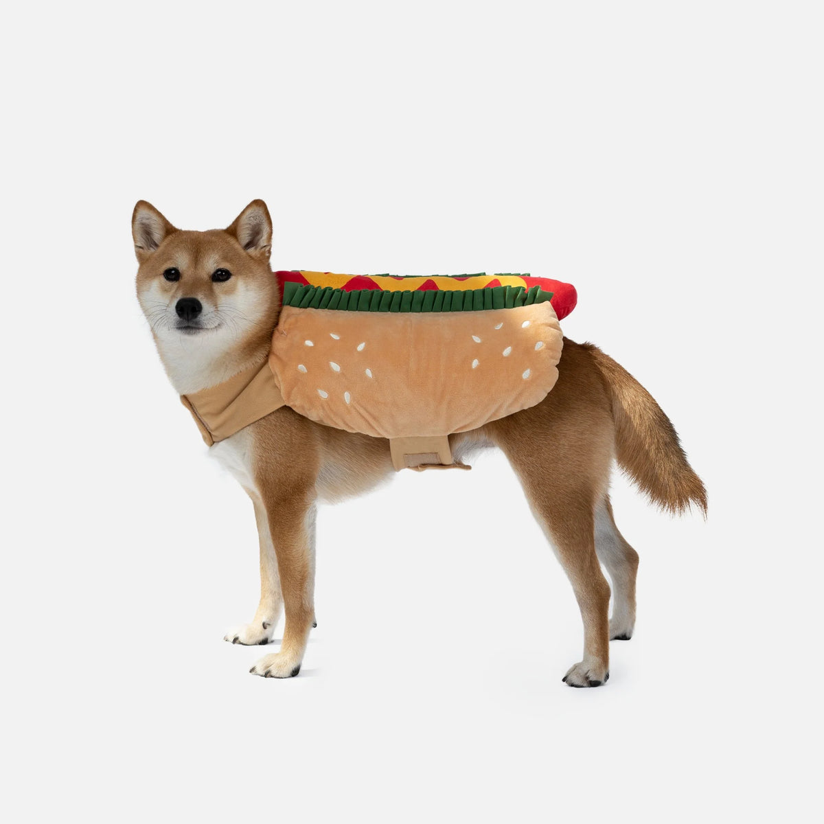 Silver Paw - Hotdog Dog Costume